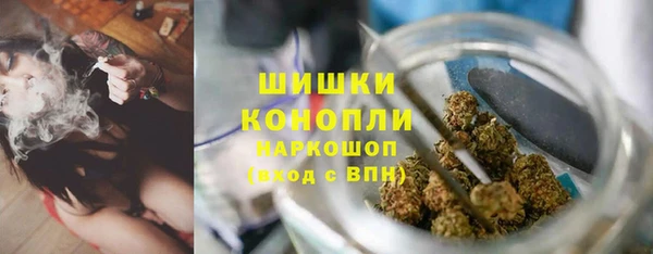 МДПВ Горнозаводск