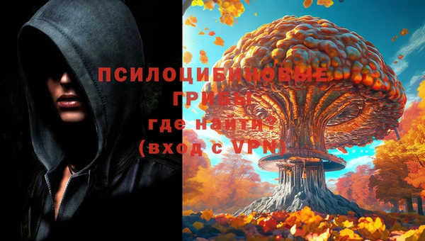 МДПВ Горнозаводск