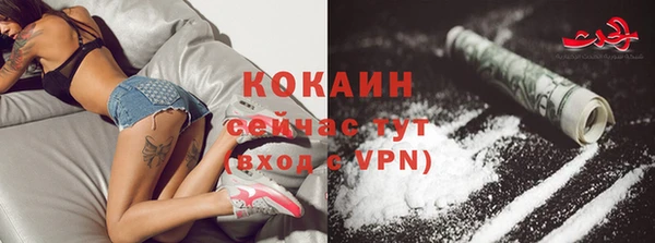 МДПВ Горнозаводск