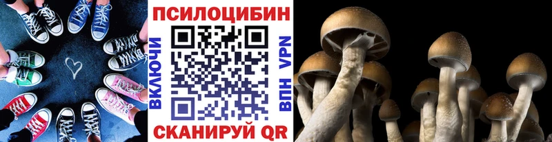 Псилоцибиновые грибы MAGIC MUSHROOMS Купить Обь